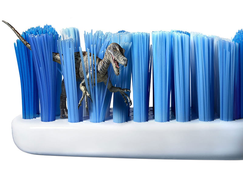 Raptor In Toothbrush, toothbrush, dinosaur, dino, brush, HD wallpaper