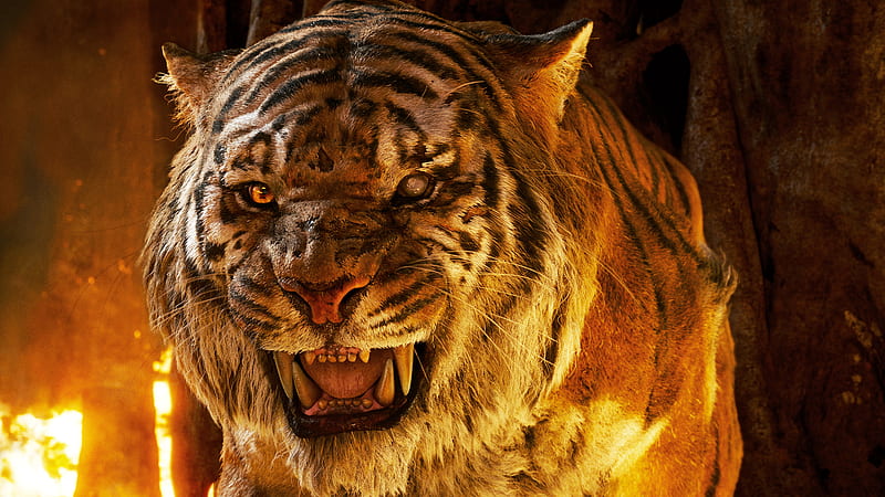 The Jungle Book Tiger , the-jungle-book, movies, animated-movies, 2016-movies, tiger, HD wallpaper