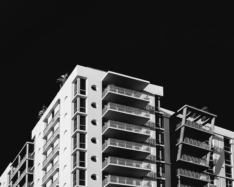 white tall building grey-scale graphy, HD wallpaper