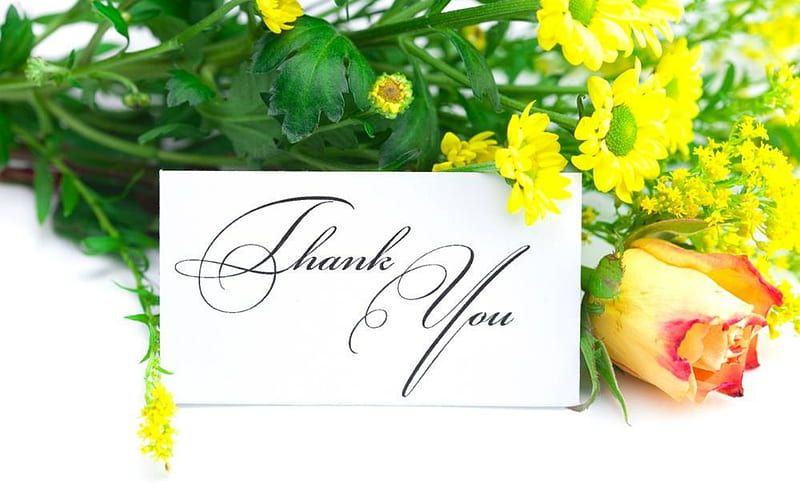 Thank You, words, yellow, flowers, card, HD wallpaper