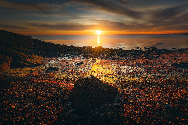 Earth, beach, Horizon, Sea, Shell, Stone, Sun, Sunset, HD wallpaper