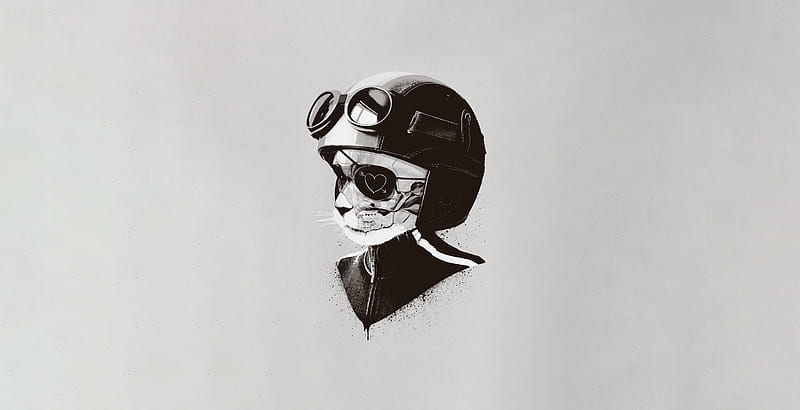 Cat Helmet Minimal Art , cat, minimalism, minimalist, artist, artwork, digital-art, HD wallpaper