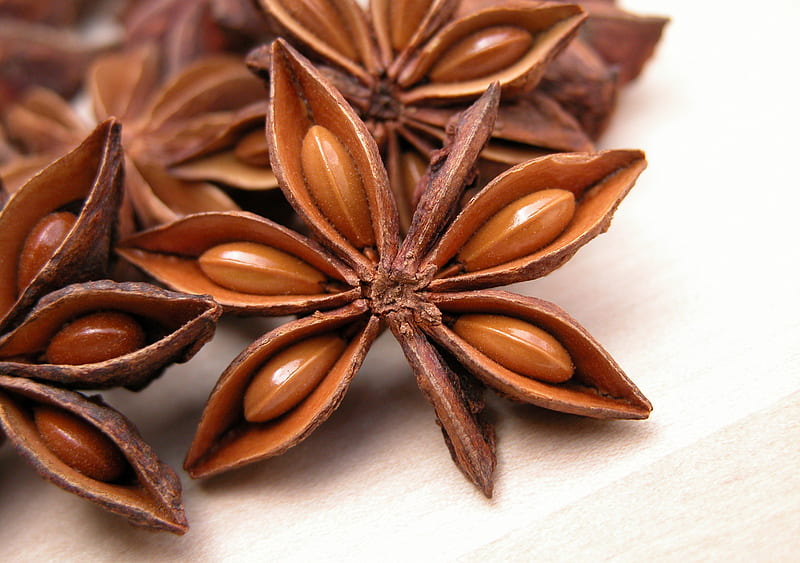 Starry Anise, fruit, christmas, food, spice, pinions, anise, HD wallpaper
