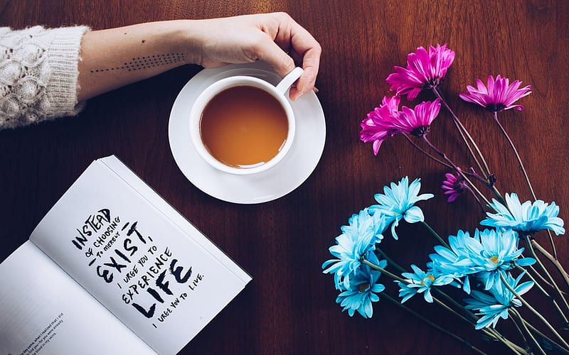 Coffee Break, Purple, Coffee, White, Cup, Book, Woman, Flowers, Blue, Hand, HD wallpaper