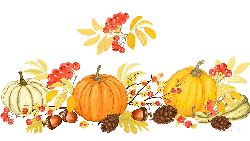 Harvesting, fall, autumn, harvest, nuts, leaves, berries, garden, Firefox Persona theme, pumpkins, HD wallpaper