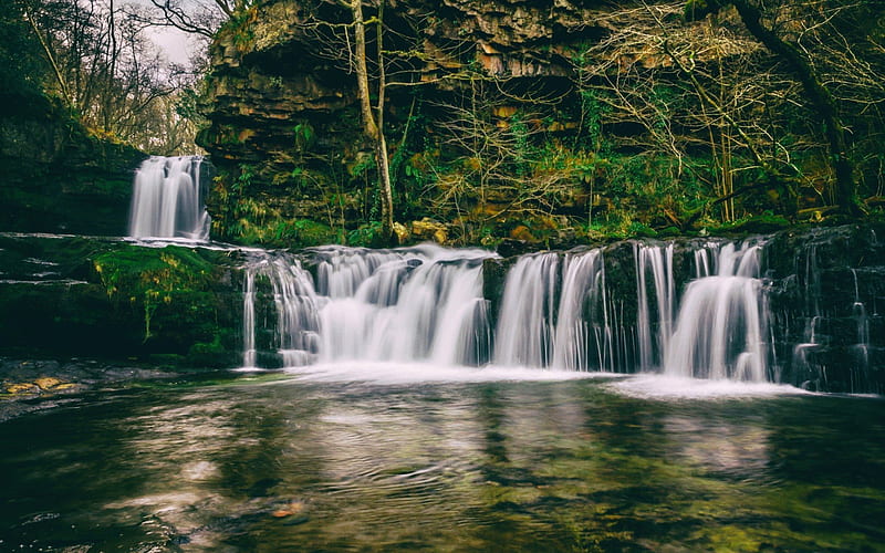 forest, lake, waterfall, cascade of waterfalls, HD wallpaper