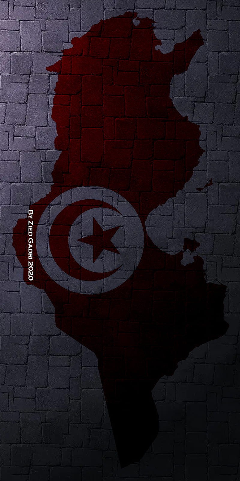 Tunisia, emblems, flag, maps, tun, tunez, tunis, tunisie, tunisien, wings, HD phone wallpaper