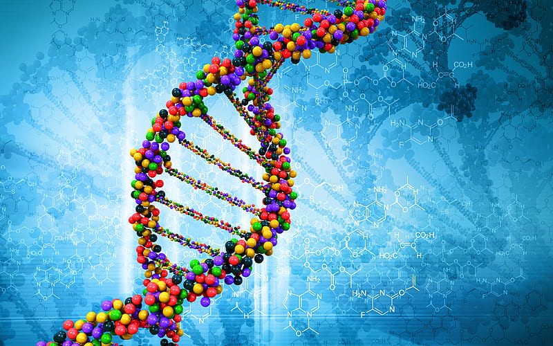 DNA molecule 3D art, Deoxyribonucleic acid, Nucleic acid structure, DNA,  blue science background, HD wallpaper | Peakpx