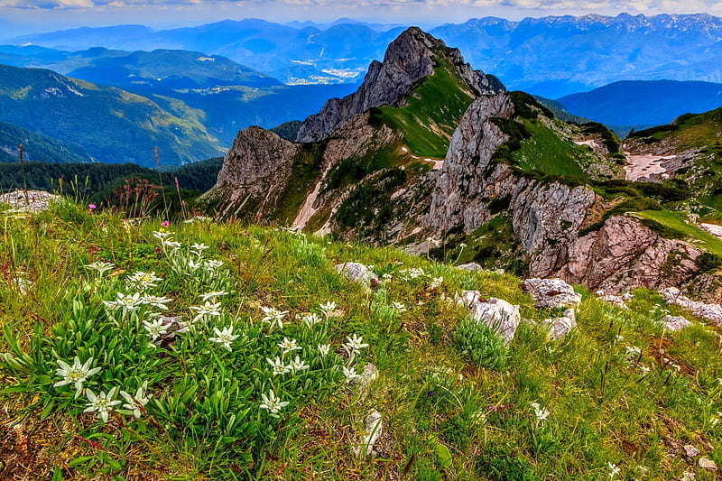 Mountainscape, hills, rocks, grass, bonito, sky, valley, mountain, plants, wildflowers, landscape, HD wallpaper