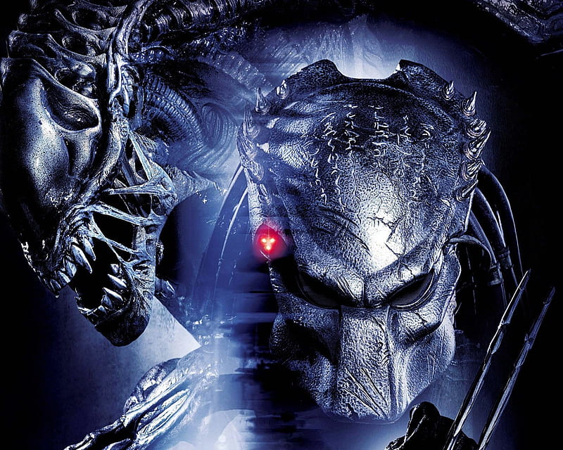 Predator, alien, game, movie, predators, sci fi, HD wallpaper