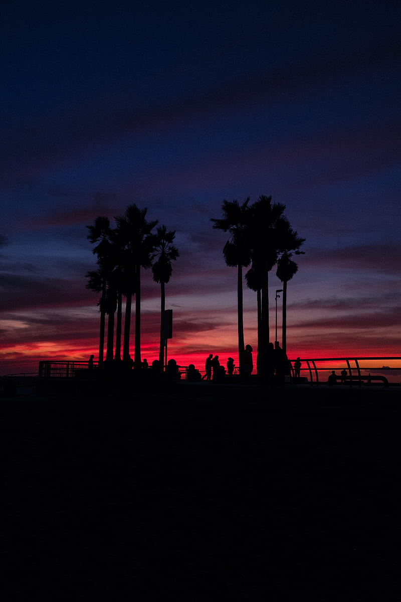 sunset, silhouettes, palm trees, people, tropics, sky, HD phone wallpaper