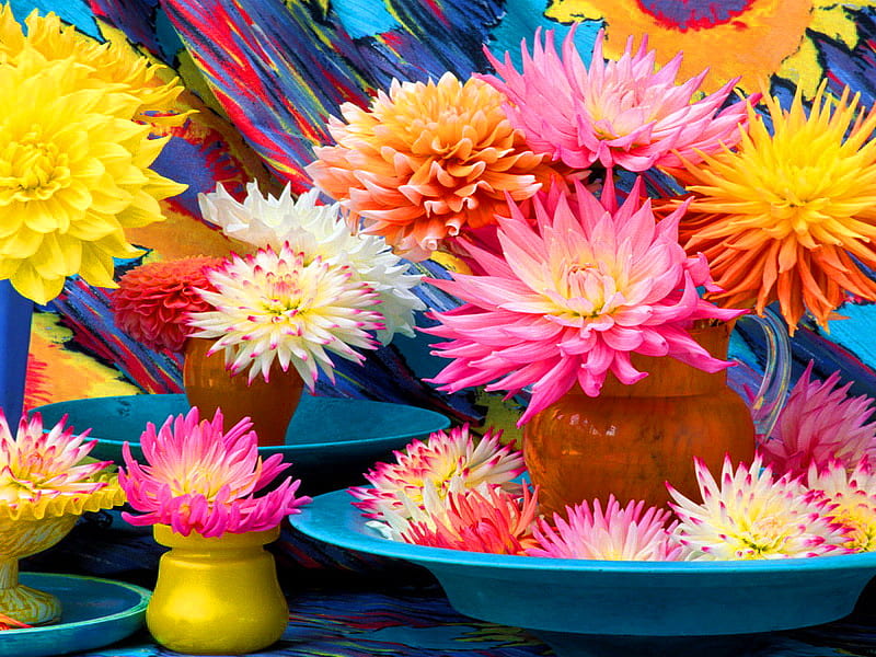 Flores, bonitas, coloridas, bonitas, colores, bonitas, bonitas, verano,  armonía, Fondo de pantalla HD | Peakpx