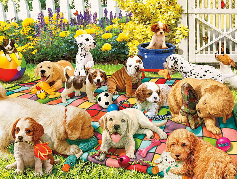 Playing on the Quilt, front, quilt, house, yard, puppies, HD wallpaper