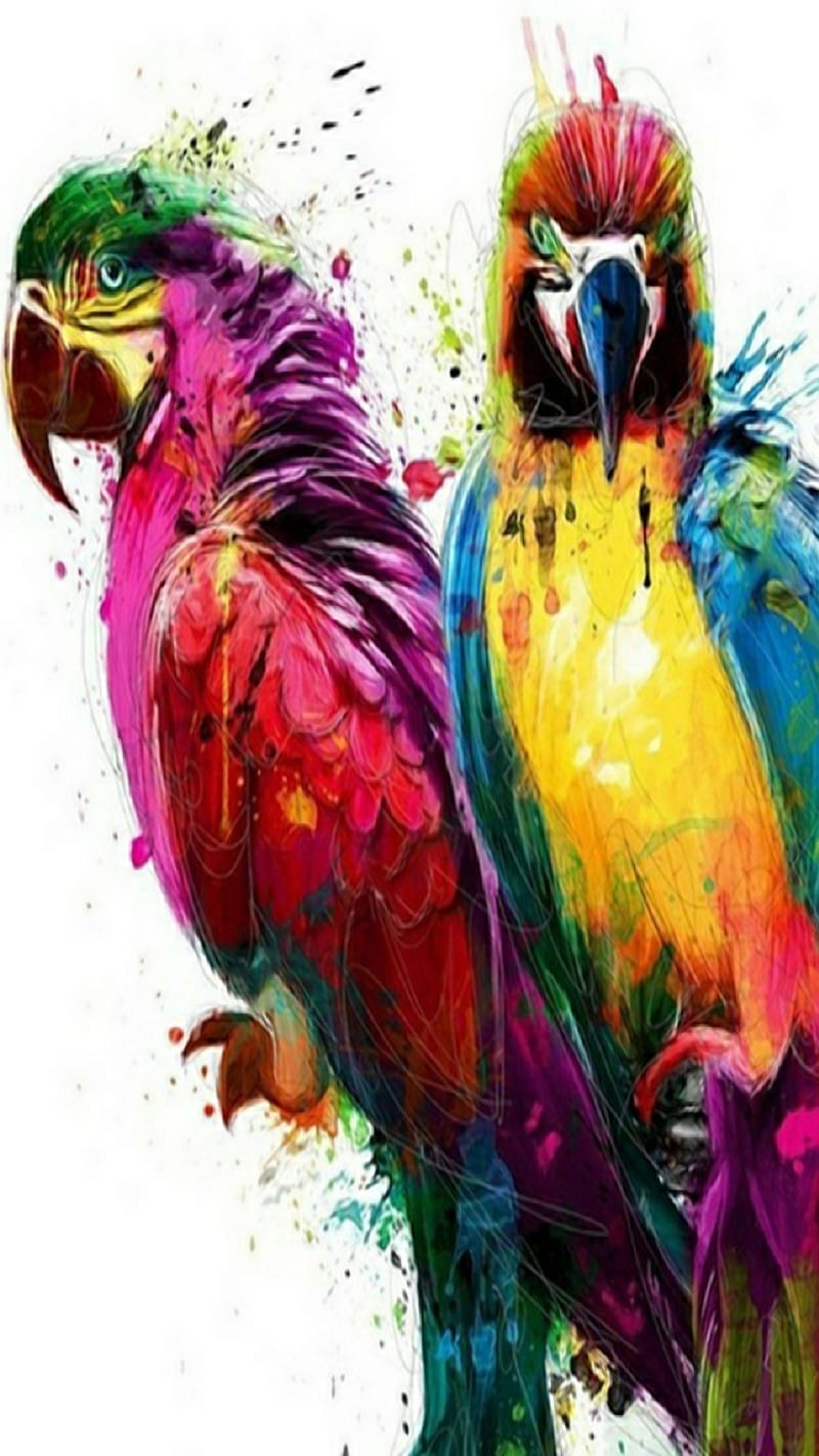Talking Heads, birds, cage, colorful, jungle, pair, parrot, pet, HD phone wallpaper