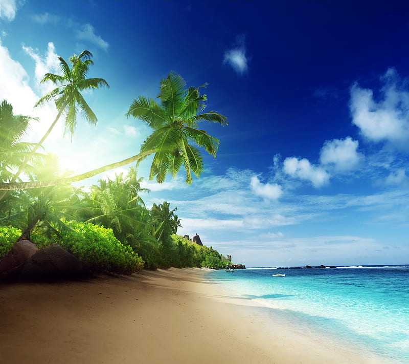 Tropical Paradise, beach, palms, sea, tropical, HD wallpaper | Peakpx