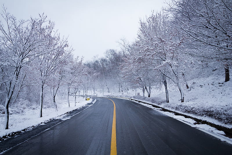 Snow Road Winter Ice Scenery , snow, winter, ice, scenery, trees, road, HD wallpaper