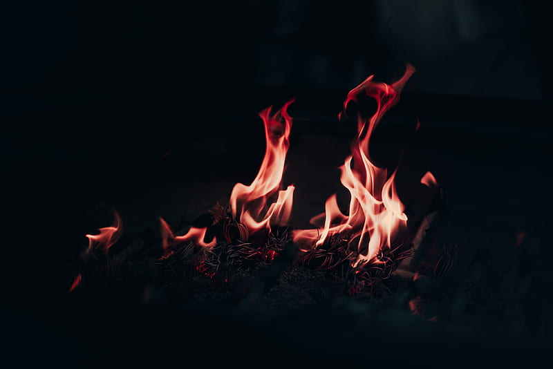 fire, flame, bonfire, burn, night, HD wallpaper