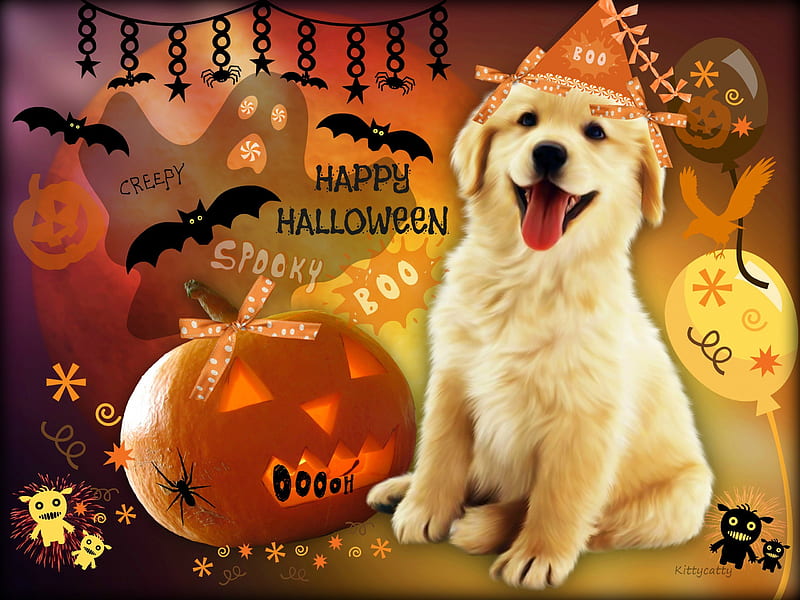 ☻☻☻ Cute Halloween Puppy ☻☻☻ , halloween party, lantern, bats, jacko, halloween, bows, spider, lights, animal, boo, critters, pumpkin, balloons, puppy, dog, HD wallpaper