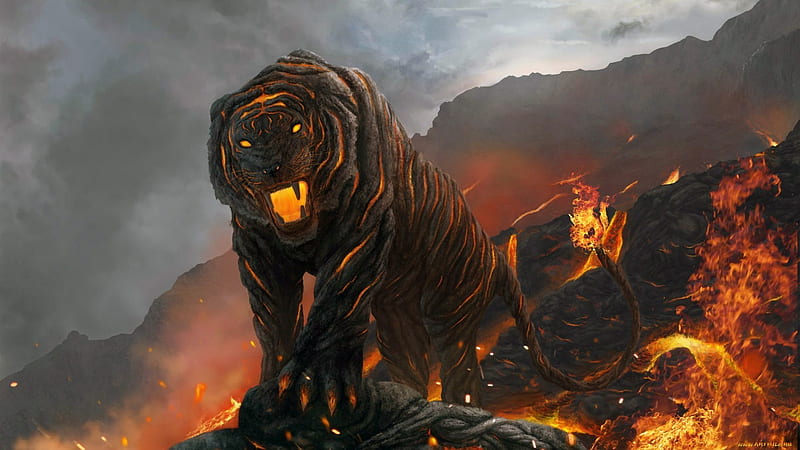 Tiger Fire, tiger, fire, HD wallpaper