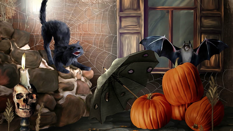 Pumpkins Trick Or Treat Cat Skeleton Owl Halloween, HD wallpaper