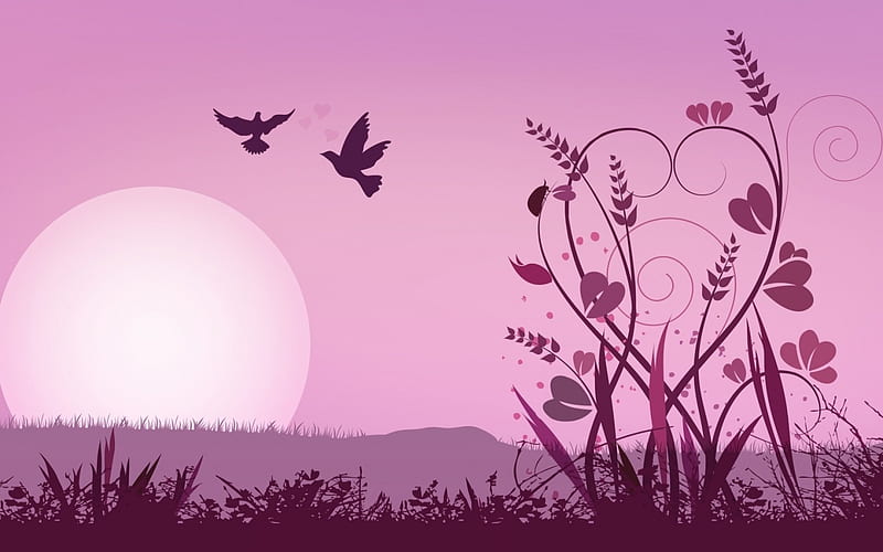 Have a Lovely Day!, sun, valentine, abstract, bird, heart, day, dove, sunrise, pink, HD wallpaper