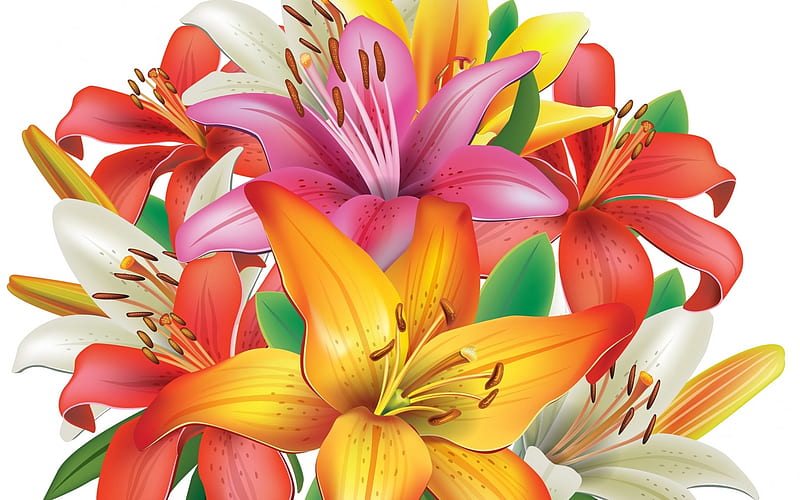 Lillies, orange, yellow, lilly, flower, pink, vector, HD wallpaper