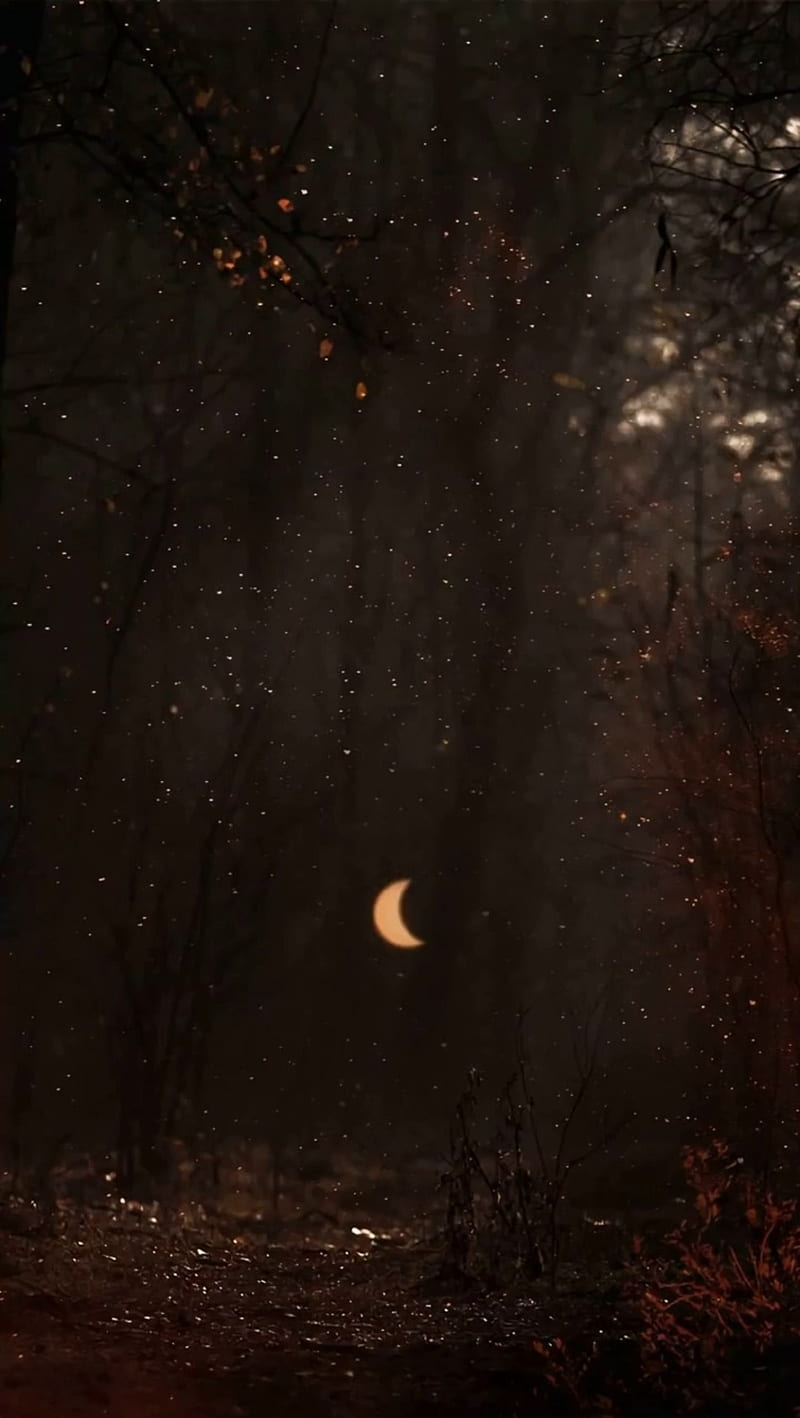 Autumn eclipse , heathen, moon, pagan, HD phone wallpaper