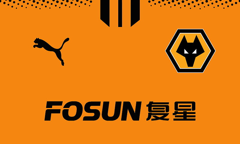 Wolves Fosun, fosun international, fc, wolves fc, kit, the wolves, molineux, english, out of darkness cometh light, football, wwfc, soccer, england, wolves football club, wolverhampton wanderers football club, gold and black screensaver, fwaw, wolverhampton wanderers fc, wolverhampton, wolf, wanderers, fosun, wolves, HD wallpaper