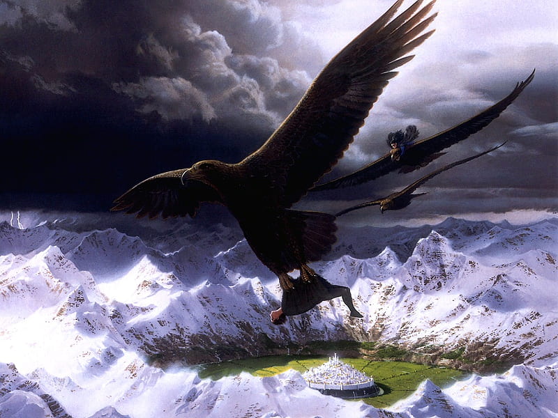 Don't Drop!!!, mountain, fantasy, bird, eagle, black, ice, nature, funny, HD wallpaper