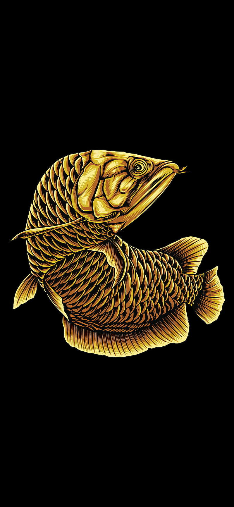 Golden Arwana 2, black, dark, fish, HD phone wallpaper