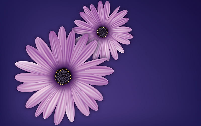 Daisy flower frame on light green background mobile phone wallpaper  illustration, premium image…