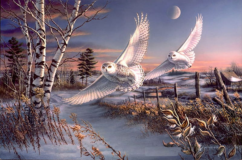 Snowy Owls, fence, moon, painting, birches, trees, artwork, winter, landscape, HD wallpaper