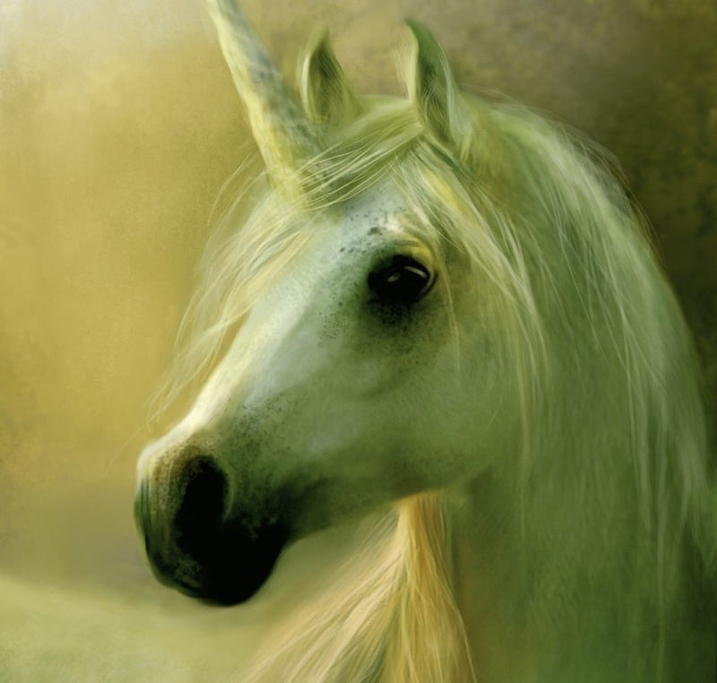 Unicorn, art, fantasy, white, bente schlick, HD wallpaper