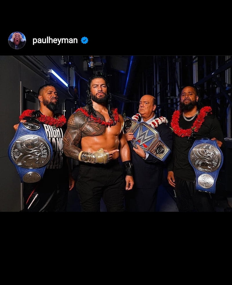 Roman Reigns, the usos, WWE, the bloodline, HD phone wallpaper | Peakpx