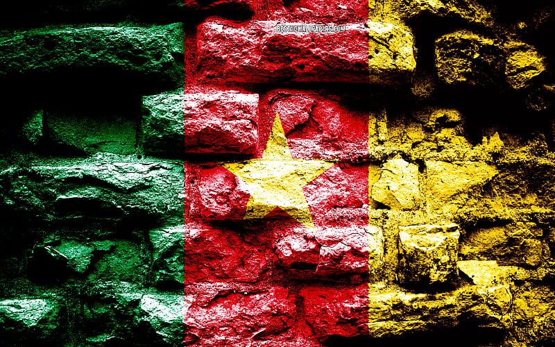 Cameroon flag, grunge brick texture, Flag of Cameroon, flag on brick wall, Cameroon, flags of Africa countries, HD wallpaper