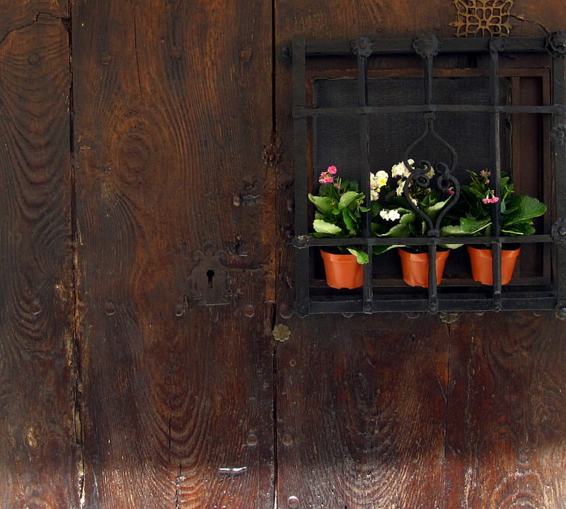 Welcome, house, graphy, flower, flowers, abstract, wood, entrance, door, HD wallpaper