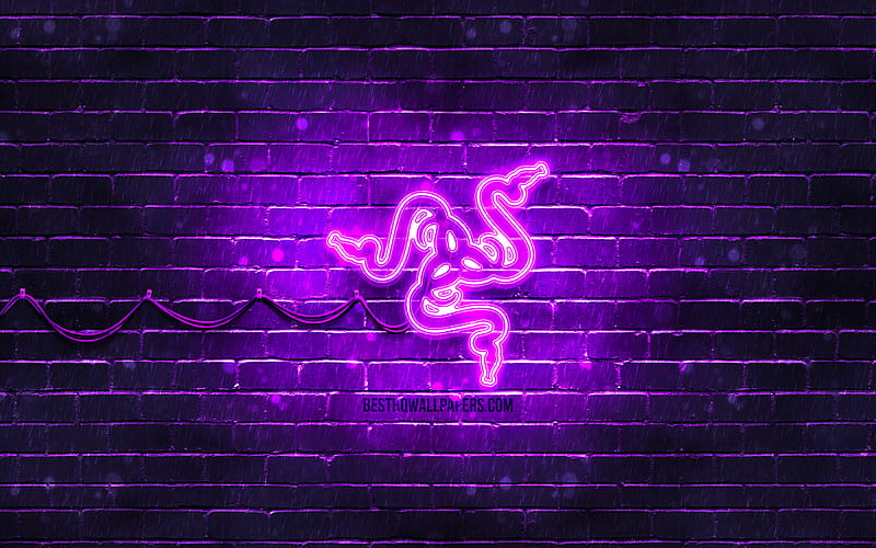 Razer violet logo violet brickwall, Razer logo, brands, Razer neon logo, Razer, HD wallpaper
