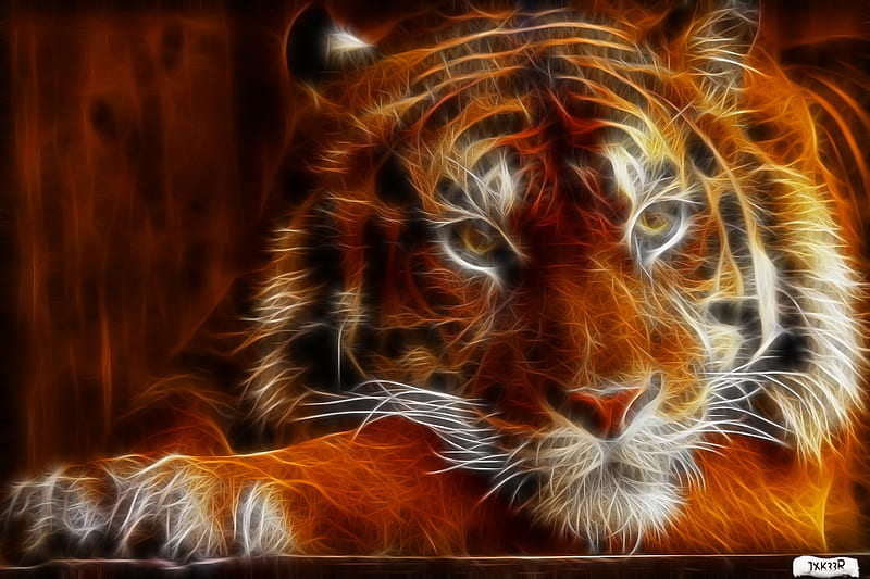 Tiger, animais, jxk33r, orange, universal, HD wallpaper