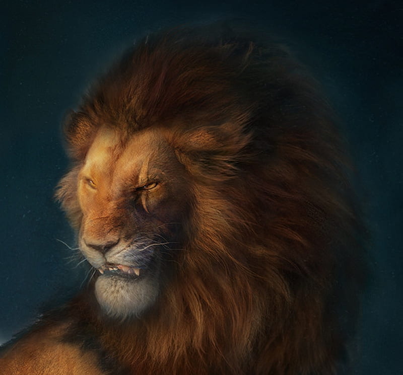 Scar, bente schlick, lion, leu, the lion king, face, HD wallpaper