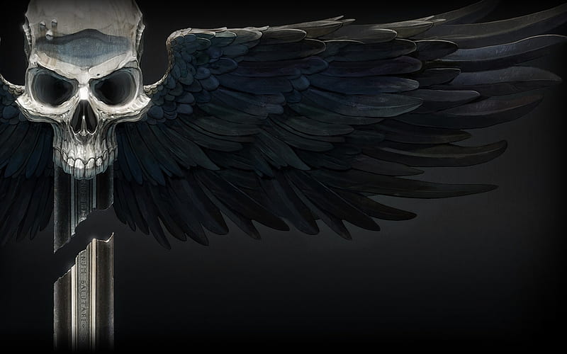 Death wing, warhammer, death, feather, black, white, wing, bones, skull, HD wallpaper