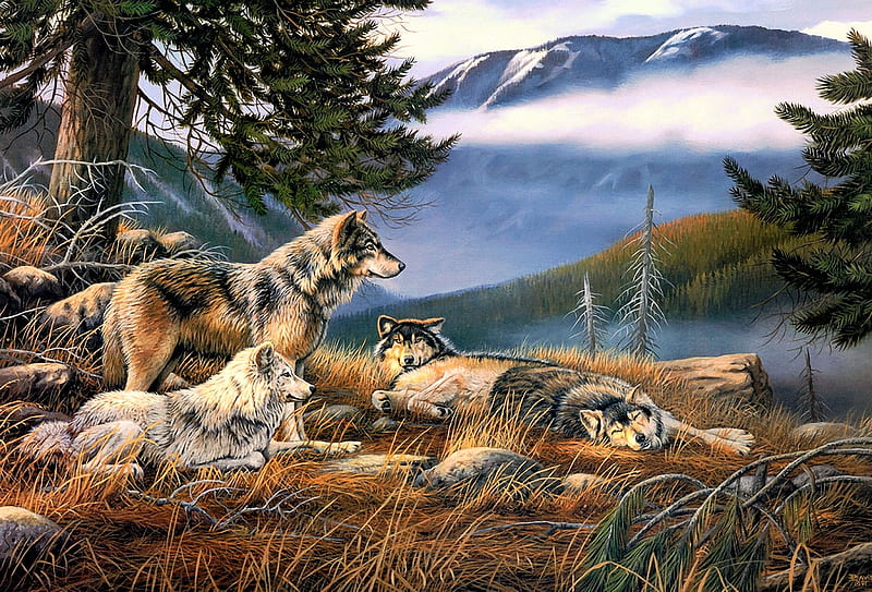 Manada de lobos, lobo, árboles, lobos, depredador, montañas, pintura, Fondo  de pantalla HD | Peakpx