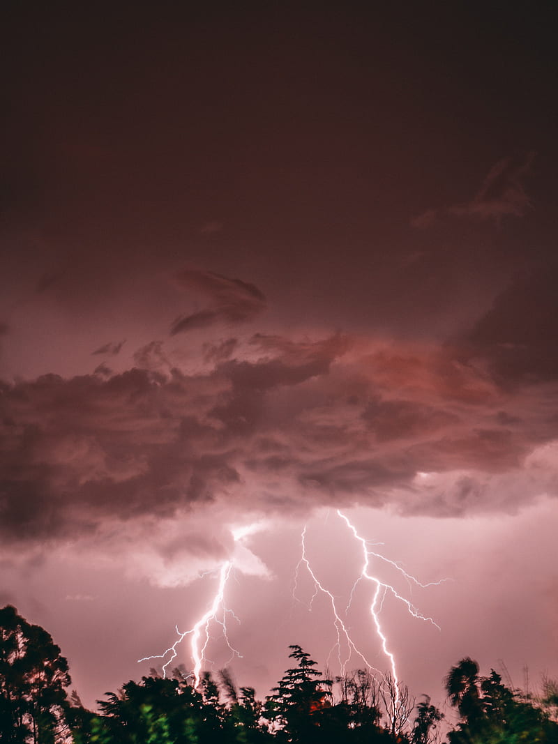 lightning, thunderstorm, pink, trees, HD phone wallpaper