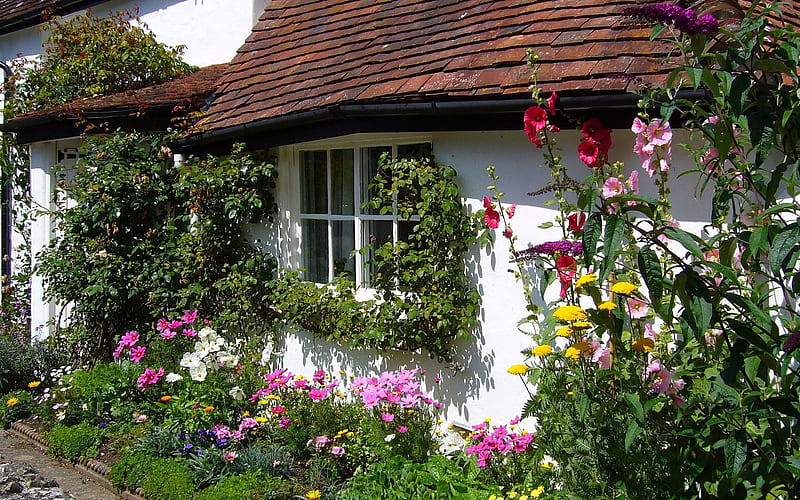 Old Cottage in England, flowers, window, cottage, England, old, HD wallpaper