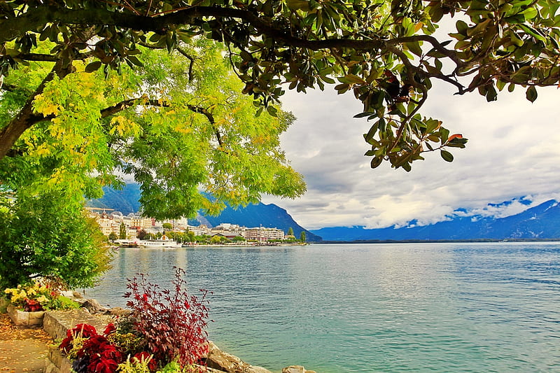 Montreux-Switzerland, view, travel, town, bonito, Switzerland, lake, tree, reflection, branches, HD wallpaper