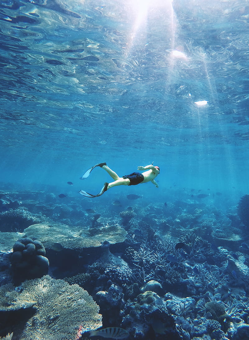 man under water, HD phone wallpaper
