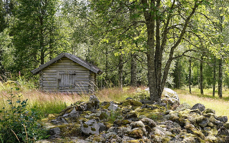Log Cabin in Sweden, log cabin, open air museum, rocks, Sweden, forest, hut, moss, HD wallpaper