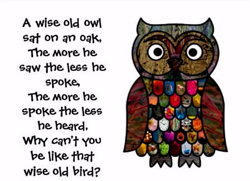 Old Wise Owl, Rhymens, Brown, Nursery, Owl, HD wallpaper