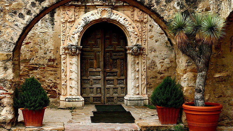 wonderful mission door entrance, stone, entrance, plants, door, HD wallpaper