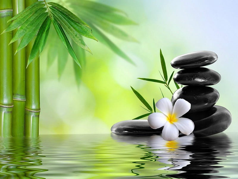 Spa concept, rest, zen, relax, bonito, soft, bamboo, bazalt, mirrored, stones, concept, water, green, spa, flower, pastel, reflection, HD wallpaper
