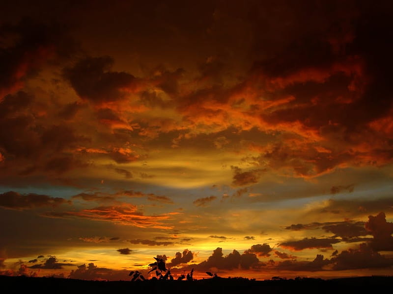 Majestic skies, warm, sunset, twilight, sky, clouds, weather, splendor, beauty, color, nature, HD wallpaper